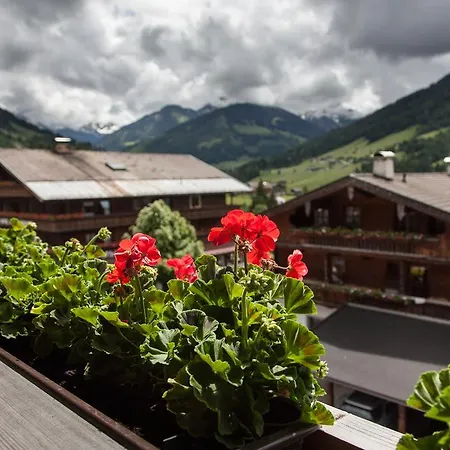 Gasthof Haus Schönblick - Wunderbare Zentrumslage